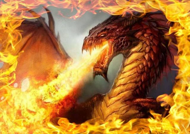fire-dragon-dragon-…